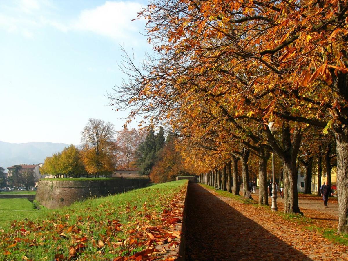 Grespola * Lucca